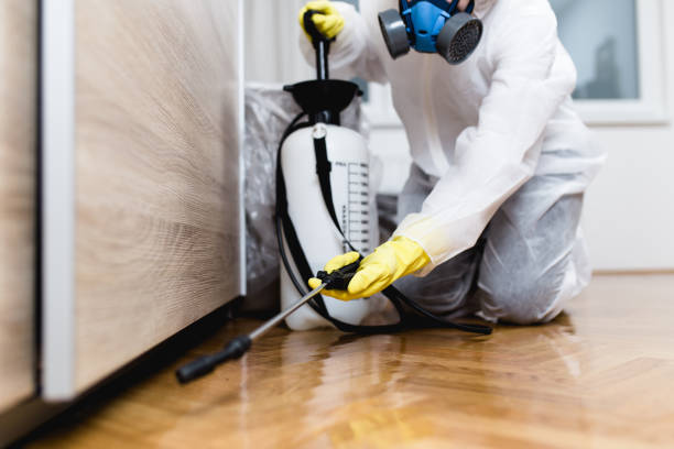 Best Commercial Pest Control Services  in Gassville, AR