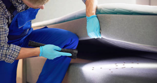 Best Wasp Removal Services  in Gassville, AR