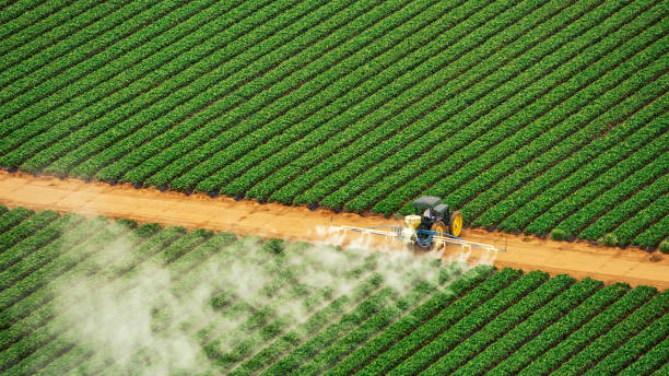 Best Mosquito Control Services  in Gassville, AR