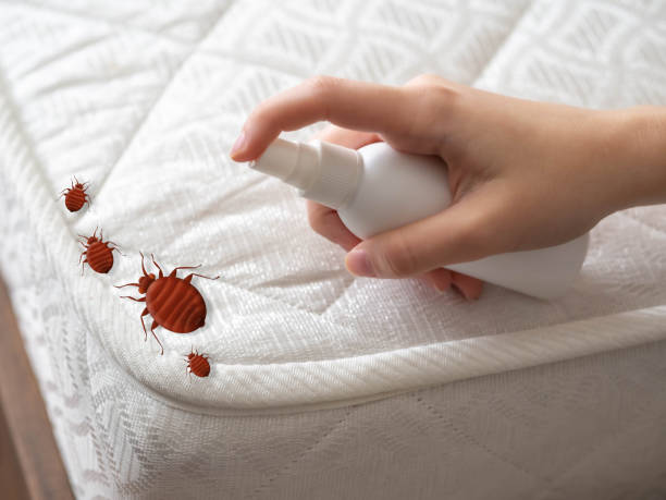 Best Pest Control for Businesses  in Gassville, AR
