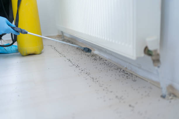 Best Pest Prevention Services  in Gassville, AR