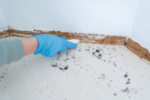 Best Wildlife Control Services  in Gassville, AR